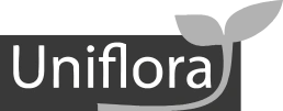 Uniflora